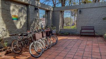 Viajero Hostels | Viajero Colonia | Servicio de alquiler de bicicletas y tour en bicicletas para recorrer Colonia de Sacramento, sus playas y alrededores cercanos de Viajero Hostels