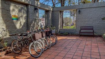Viajero Hostels | Viajero Colonia | Servicio de alquiler de bicicletas y tour en bicicletas para recorrer Colonia de Sacramento, sus playas y alrededores cercanos de Viajero Hostels