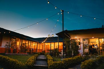 Viajero Hostels | Viajero Salento | Vista de la entrada al espacio libre, decorado con luces de jardín y plantas